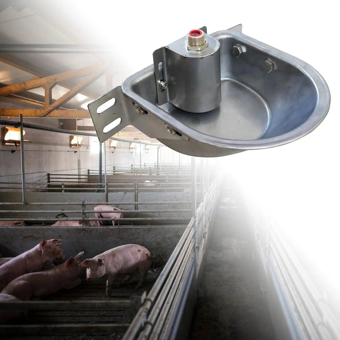 Rust Proof Stainless Steel Automatic Drinking Bowl Livestock Waterer Farm Animal Fountain for Dog Goat Pig Feeding