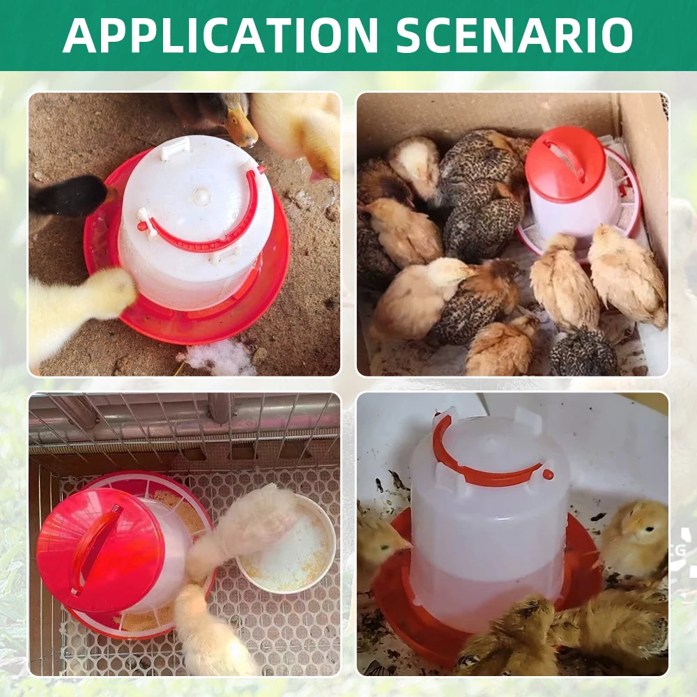 3kg+3L Chicken Feeder And Waterer Water Food Dispenser Automatic Chicken Birds Chick Waterer Feeding Bucket Container Supply