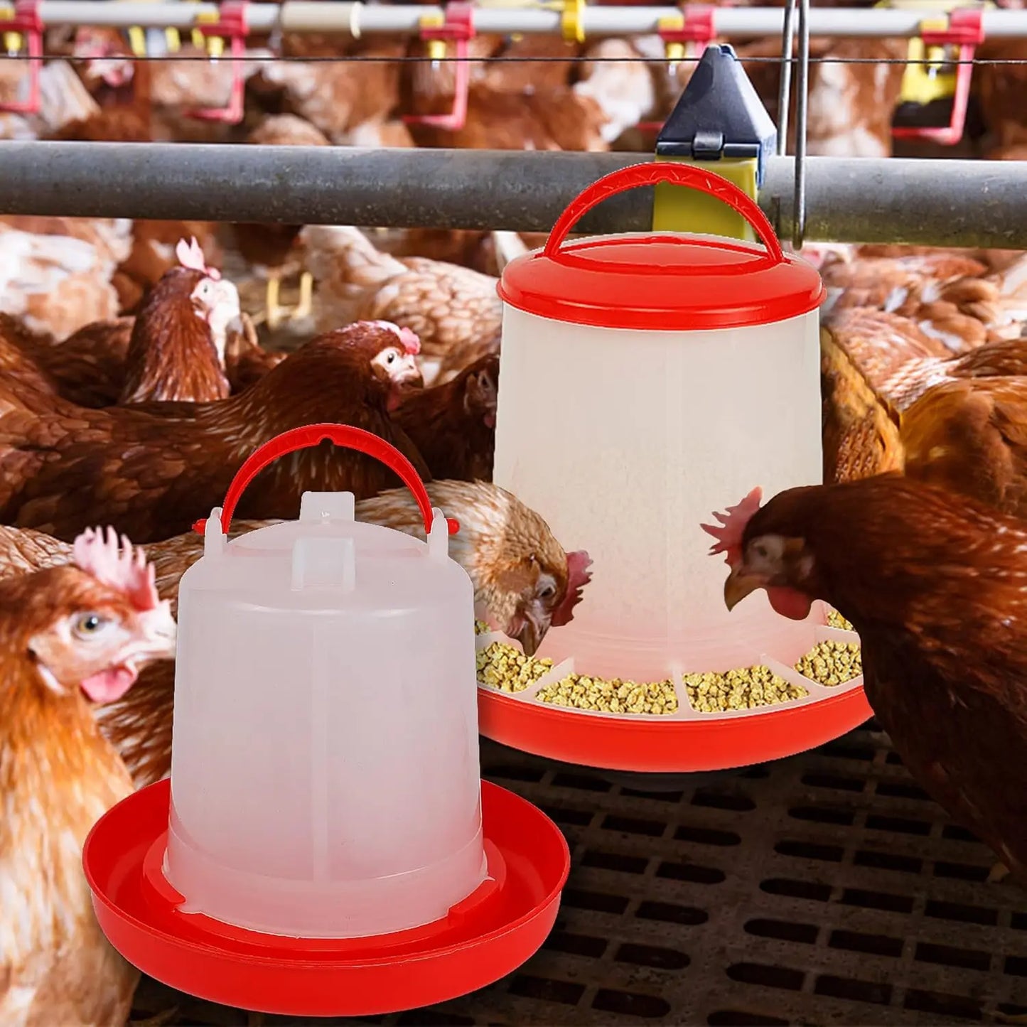 3kg+3L Chicken Feeder And Waterer Water Food Dispenser Automatic Chicken Birds Chick Waterer Feeding Bucket Container Supply