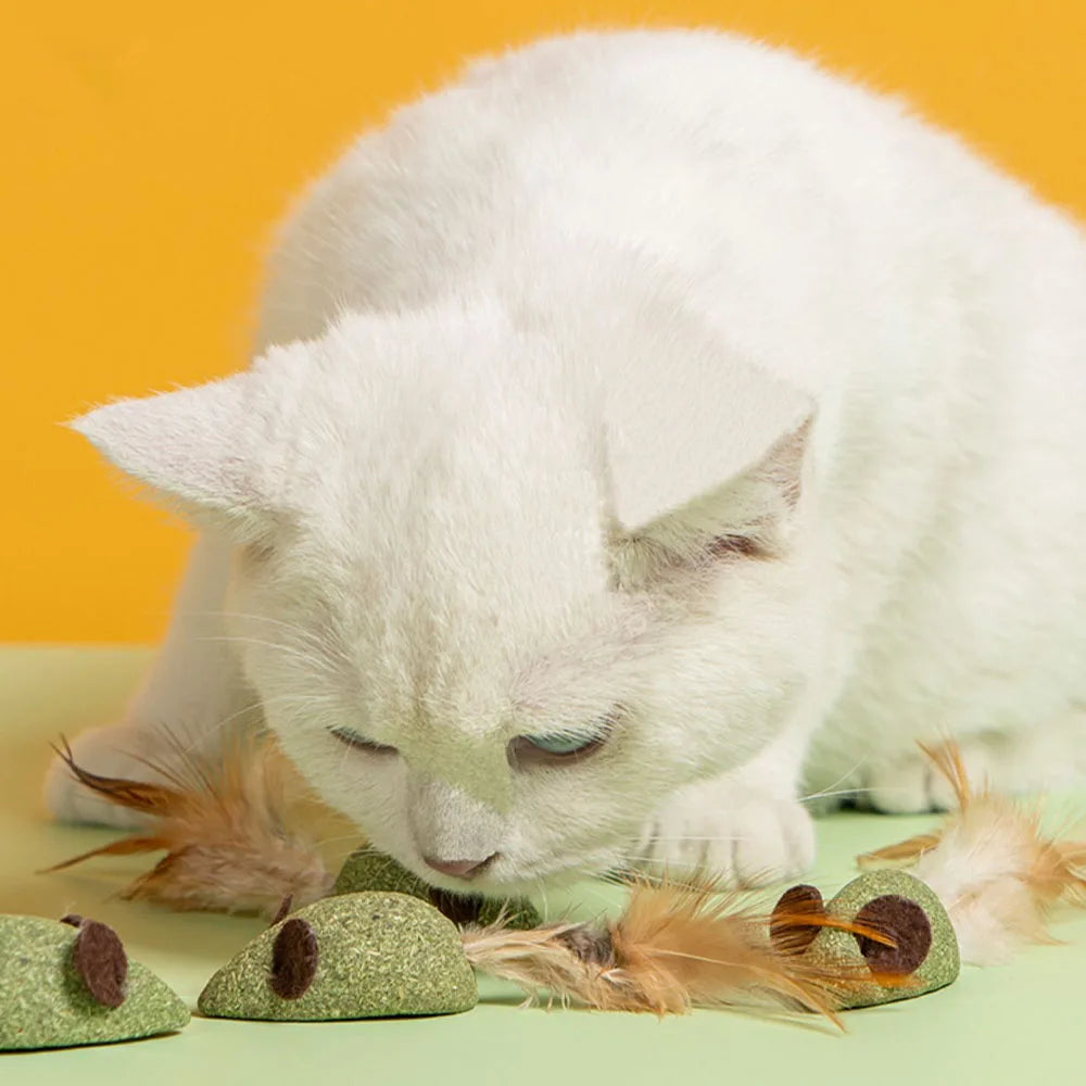 Mouse Cat Toys Catnip Feather Ball Self Cleaning Teeth Interactive Home Chasing Game Toy Products Cat Mint Ball Training Toys