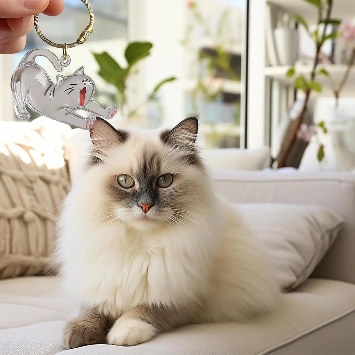 2x3x6cm Pet Hair Keychain Holder, Portable Cat Dog F ur Pendant For Bag, Keepsake Key Ring For Backpack Purse Wallet, Cute Gift