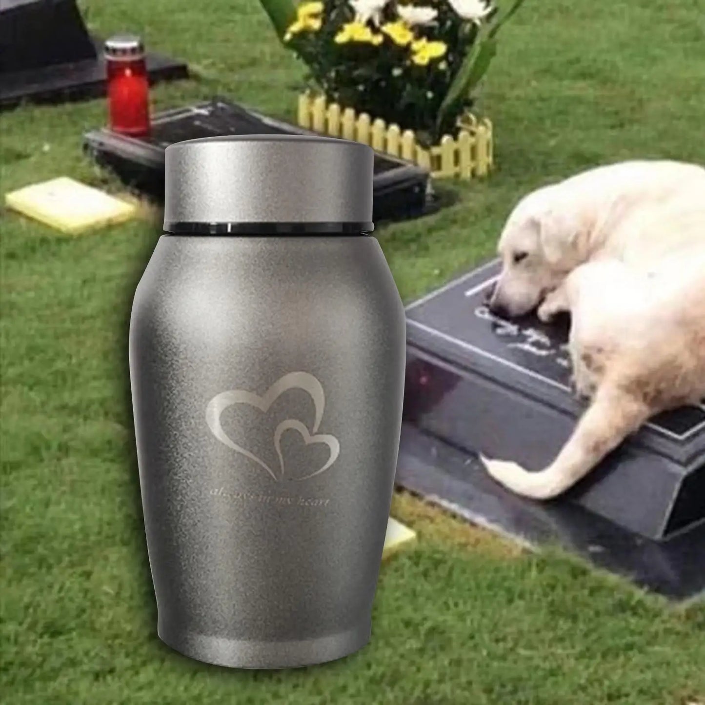 Pet Urns Funeral Souvenir Bottle Pet Ash Urn Burial Cremation Memorial Urn