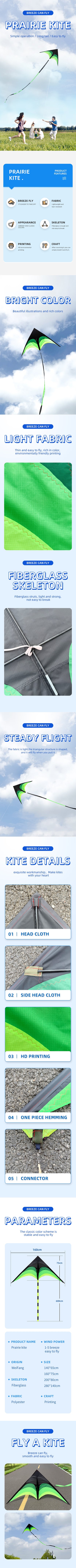 Outdoor Fun Large Delta Kites with 100m Handle Line Flying Toys for Children Kites Outdoor Sports Kites Professional Wind Kites