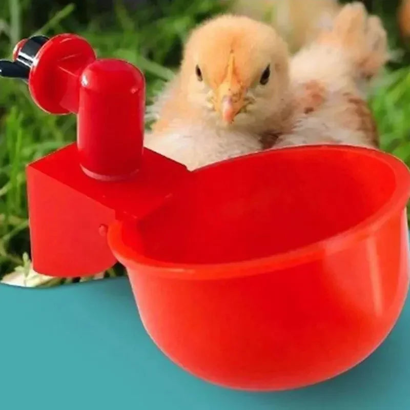 5-50Pcs Automatic Chicken Waterer Bird Feeder Poultry Farm Drinking Bowl for Chicken Duck Goose Drinking Water Farm Supplies