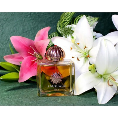 AMOUAGE Unisex Eau De Parfum 100ML Woody Oriental Arabic Perfume Long Lasting Luxury Sunshine Crimson Rocks Dia Epic Journey