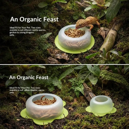 Anti Escape Reptile Feeding Dish Durable ABS Worm Food Bowl Easy Clean for Lizards Geckos Snakes Terrarium Tank