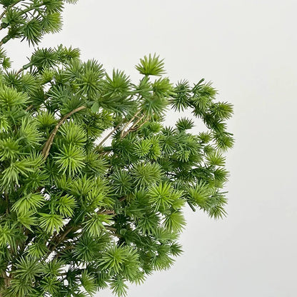 3/5Pcs Artificial Podocarpus Branches Greens for Decoration Christmas Foliage Home DIY Floral Arrangements Artificial Plants