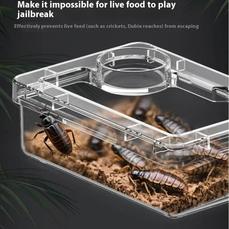 【E】Pet Reptile Lizard Turtle Transparent Feeder Anti-escape Food Bowl Worm Live Container Reptile Pet Bowls Feeder Pet Supplies