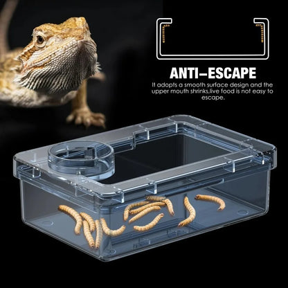 Reptile Lizards Geckos Feeding Bowls Anti Overturning Transparent Water Bowls Anti Escape