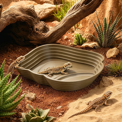 Reptile Bathing Pool Turtle Feeding Dish 9.45in Dark Brown Plastic Splashproof Reptile Water Tray Feeder Bowl for Bearded Dragon
