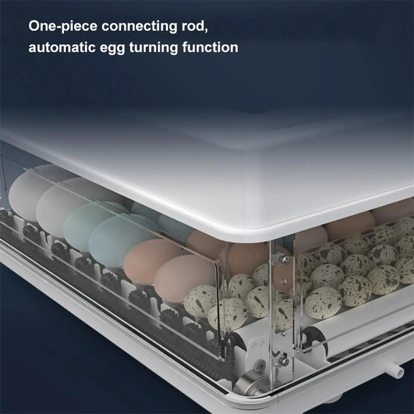 220V Mini Digital Egg Incubator with Auto Egg Turning, Low Noise Fan & Heat Insulation Cover for Chicken Duck Quail Pigeon Bird Eggs, Farm & Educational Hatching Machine