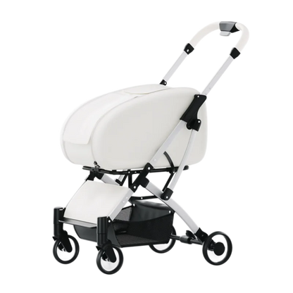 Clear View Foldable Portable Pet Stroller Button Closure Breathable Lightweight Travel Cart Transparent Window For Cats Dogs