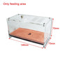 Concrete Ant Farm Acrylic Ant Nest with Hunting Area Unlimited Expansion Ant House Pet Anthill Workshop Moisturizing Insect Box