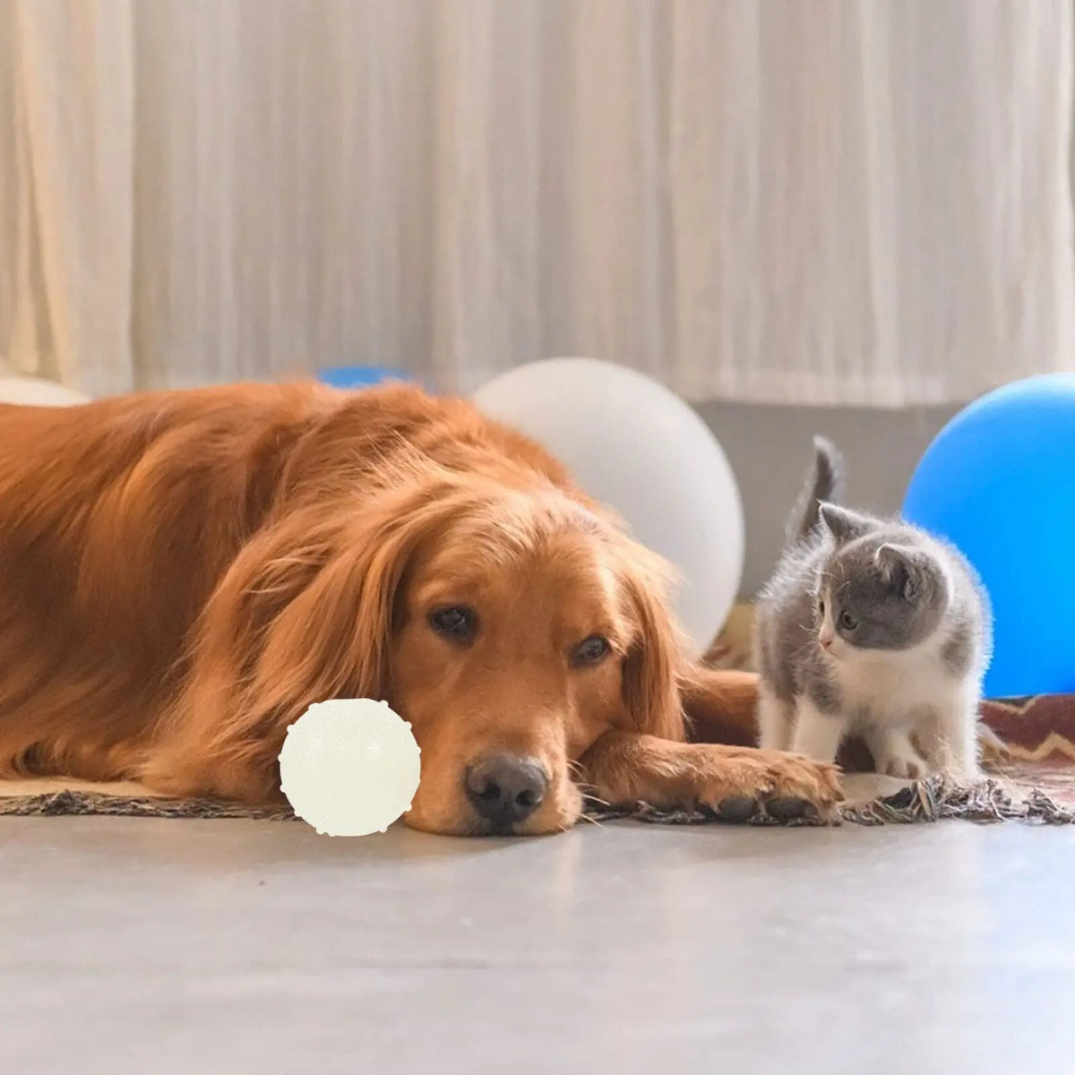 2PCS Dog Chew Toys Ball - Glow in The Dark, Durable for Teething, Pet Molar Toy To Relieve Boredom, Puppy Chew Supplies