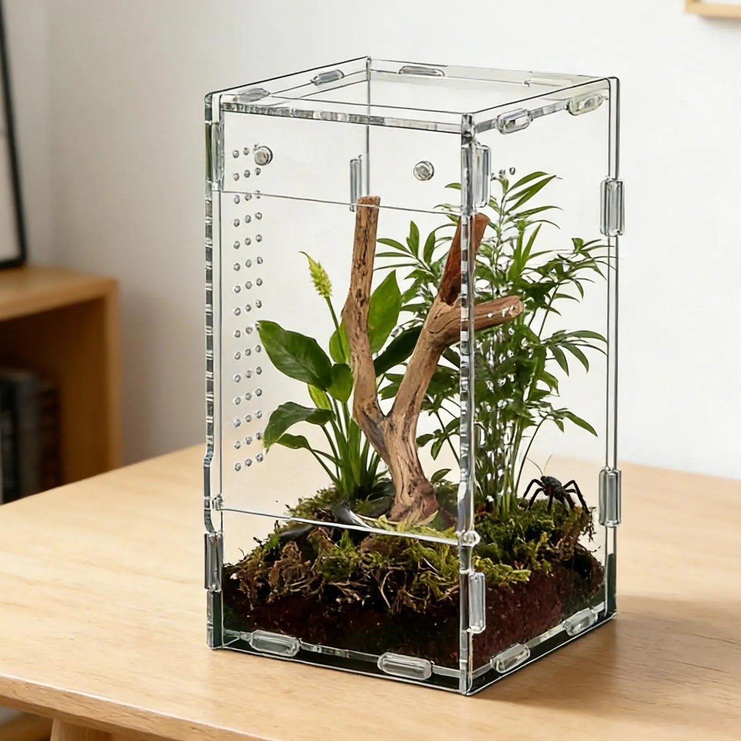 Acrylic Transparent Reptile Terrarium Breeding Box amphibian Cage Nano Arboreal Tarantula Enclosure Jumping spider Reptiles Habi