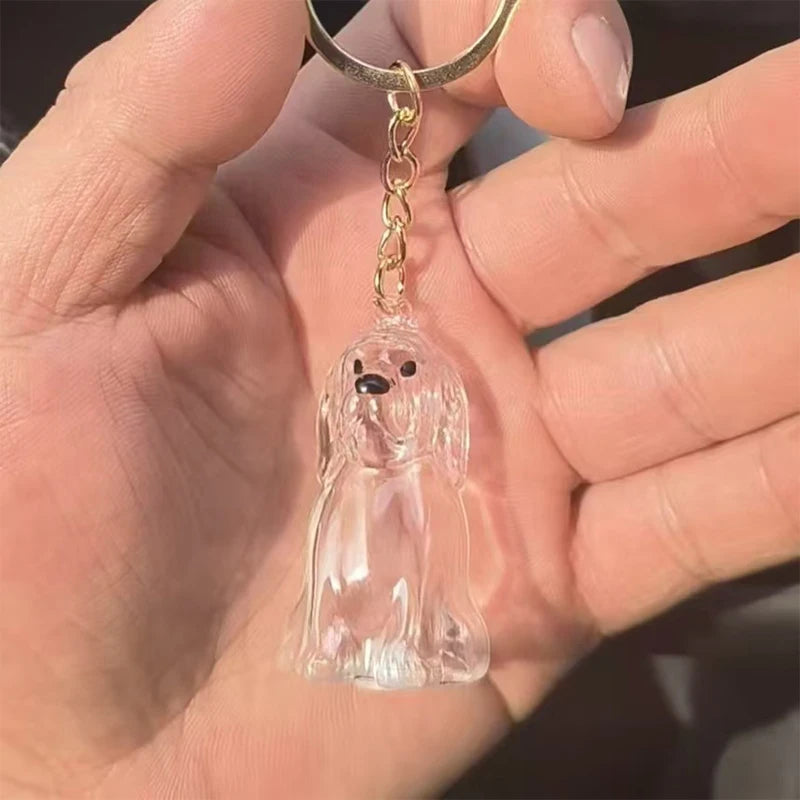 (HB05)Clear Puppy Hair Memorial Keepsake Capsule Pet Dog Fur Container DIY Pendant Keychain Decor Pet Lovers Home Display Gifts