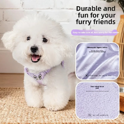 Butterfly Decor & Matching Leash Dog Harness for Small Dogs - Escape Proof Lightweight Vest