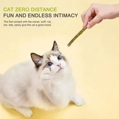Pet Cat Peppermint Teeth Teeth Teeth Cleaning Bite Stick Teasing Cat Stick Cat Bite Resistant Soothing Snack