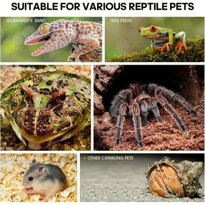 Acrylic Jumping Spider Enclosure Buckle Lock Escape Proof Spider House Ventilated Transparent Reptile Habitat Small Pet Supplies
