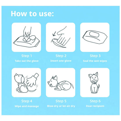 Pet No-Rinse Glove Wipes, 6 Pieces Per Box, 2 Boxes Set, Disposable Deodorizing Grooming Cleaning Gloves for Cats and Dogs