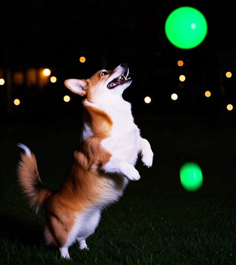 2PCS Dog Chew Toys Ball - Glow in The Dark, Durable for Teething, Pet Molar Toy To Relieve Boredom, Puppy Chew Supplies