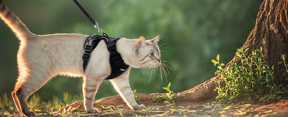 Adjustable Anti-Escape Small Cat Belt Kitten Harness Light Breathable Soft Pet Vest Wiring Harness Traction Belt Kitten Walking