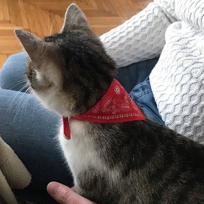 Adjustable Pet Puppy Cat Scarf Bandana Collar Neck Scarf For Small Dogs Kitten Saliva Towel PU Collar with Triangular Bandage