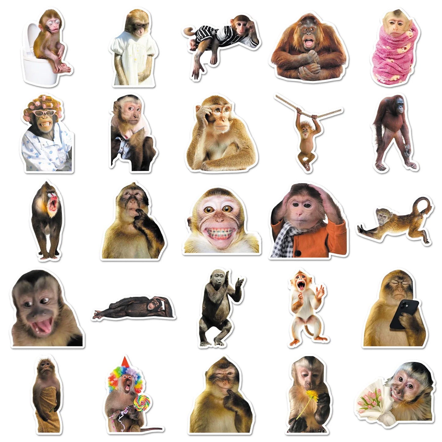 50Pcs Crazy Funny Monkey & Orangutan Doodle Stickers Waterproof Decals for Stationery Notebook Helmet Motorcycle Suitcase Fridge