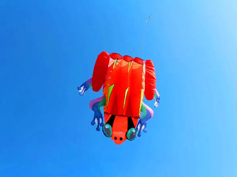 Frog kite cometas profesionales kite flying cerf volant gonflable outdoor games aquilone acrobatico vlieger haspel parplan pipa