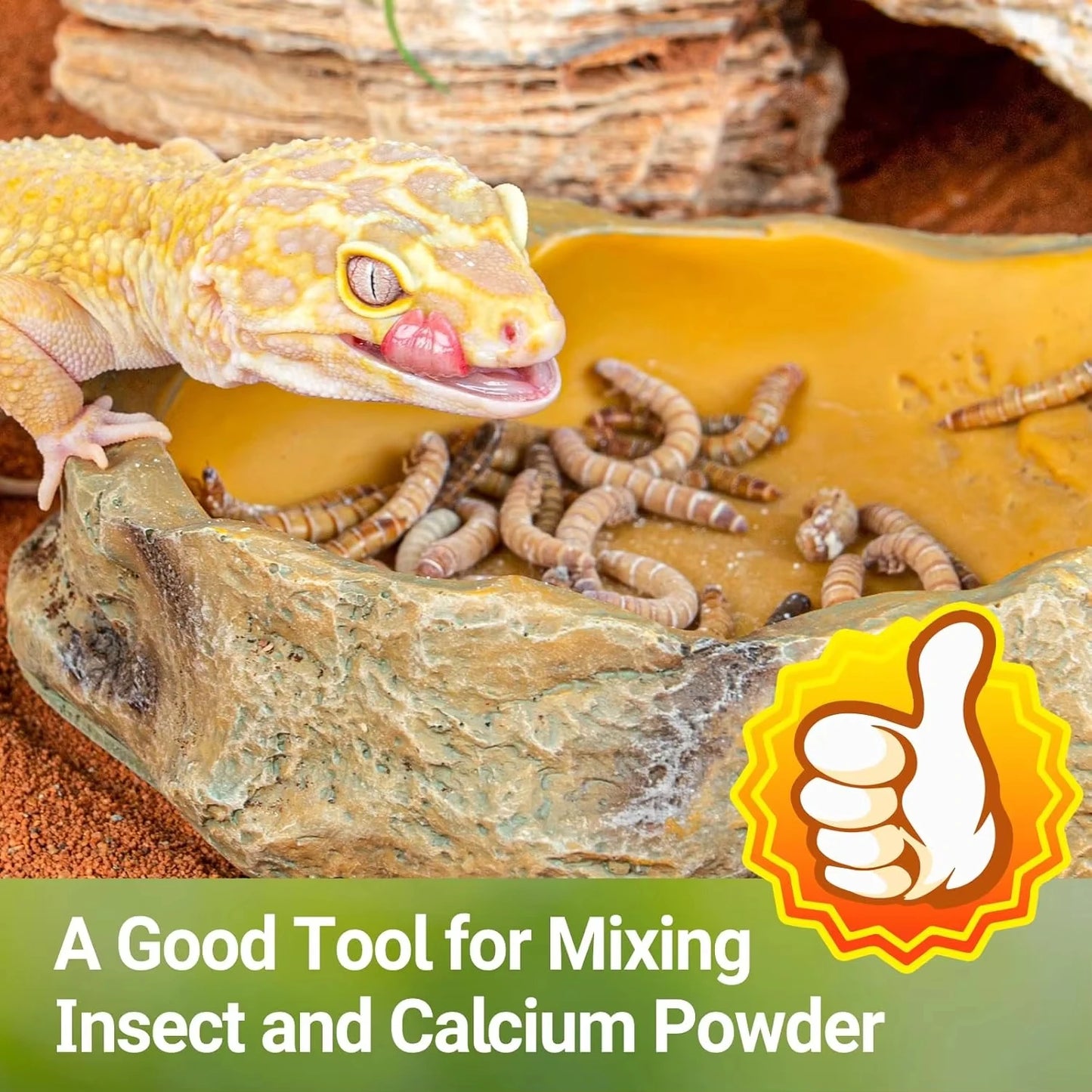 Reptile Calcium Powder Mixing Tray Cricket Feeding Tray Suitable for Geckos, Bearded Dragons and Lizards Feed Tray