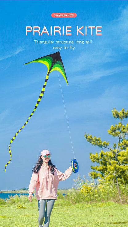 Adult-sized large delta-wing kite. Easy to fly. Extra-large delta-wing kite, equipped with a 6-meter long tail.