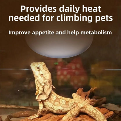 SuperRep Frosted UVA Reptile Heat Lamp-Daylight Basking Bulb for Tortoises & Bearded Dragons-Gentle Warming Light for Terrariums