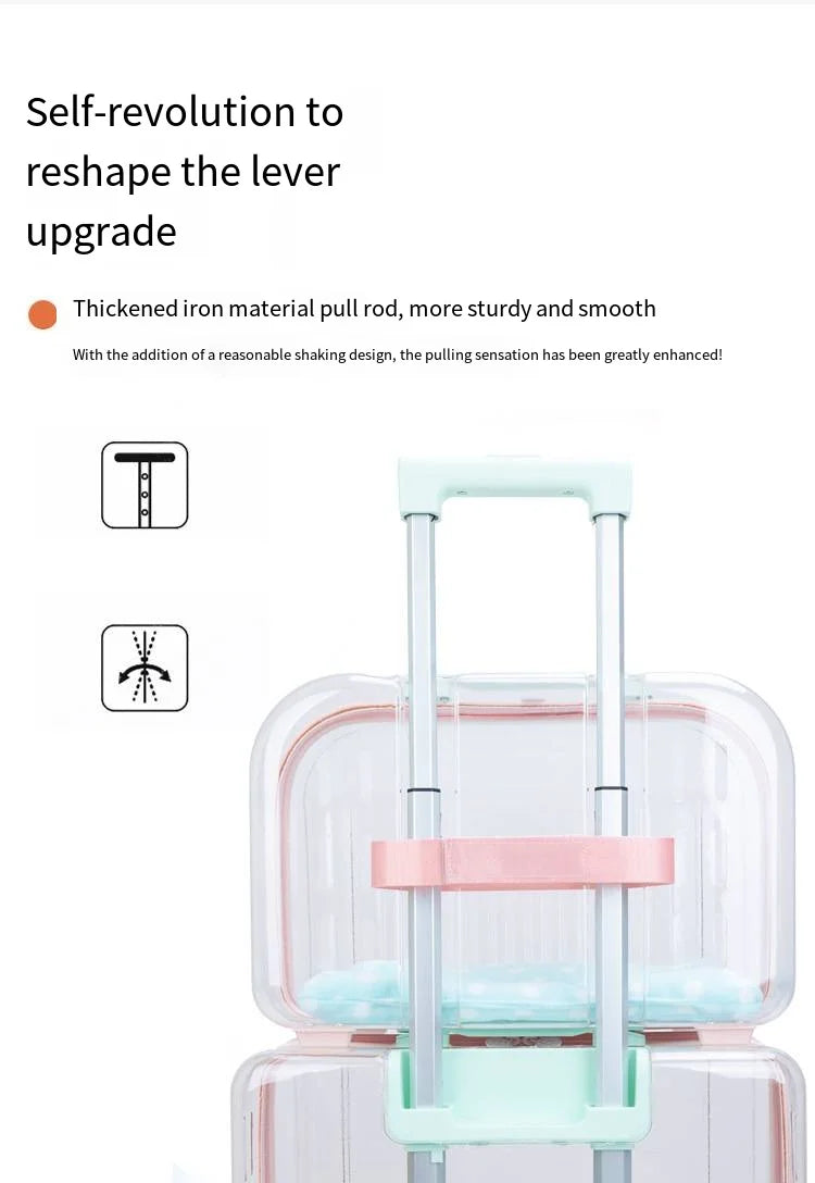 Pet Outdoor Suitcase Portable Car Mounted Double-layer Transparent Breathable Cat and Dog Tour Cat Bag