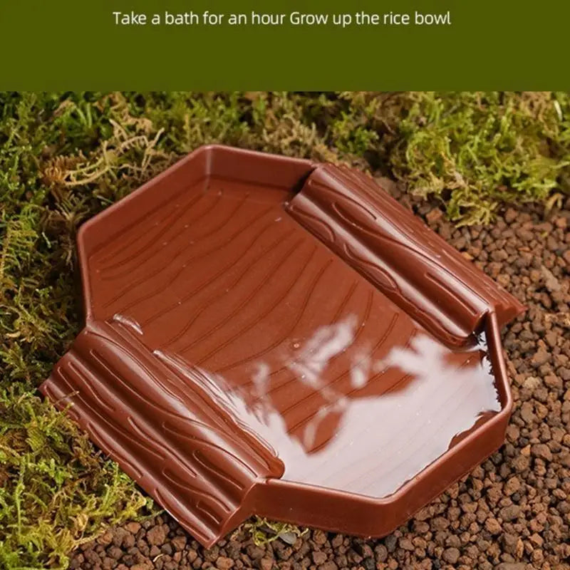 QX2E Small Plastic Turtles Bathing Pool Multifunctional Design Water Basin For Baby Reptiles Easy Cleaning And Portable Use