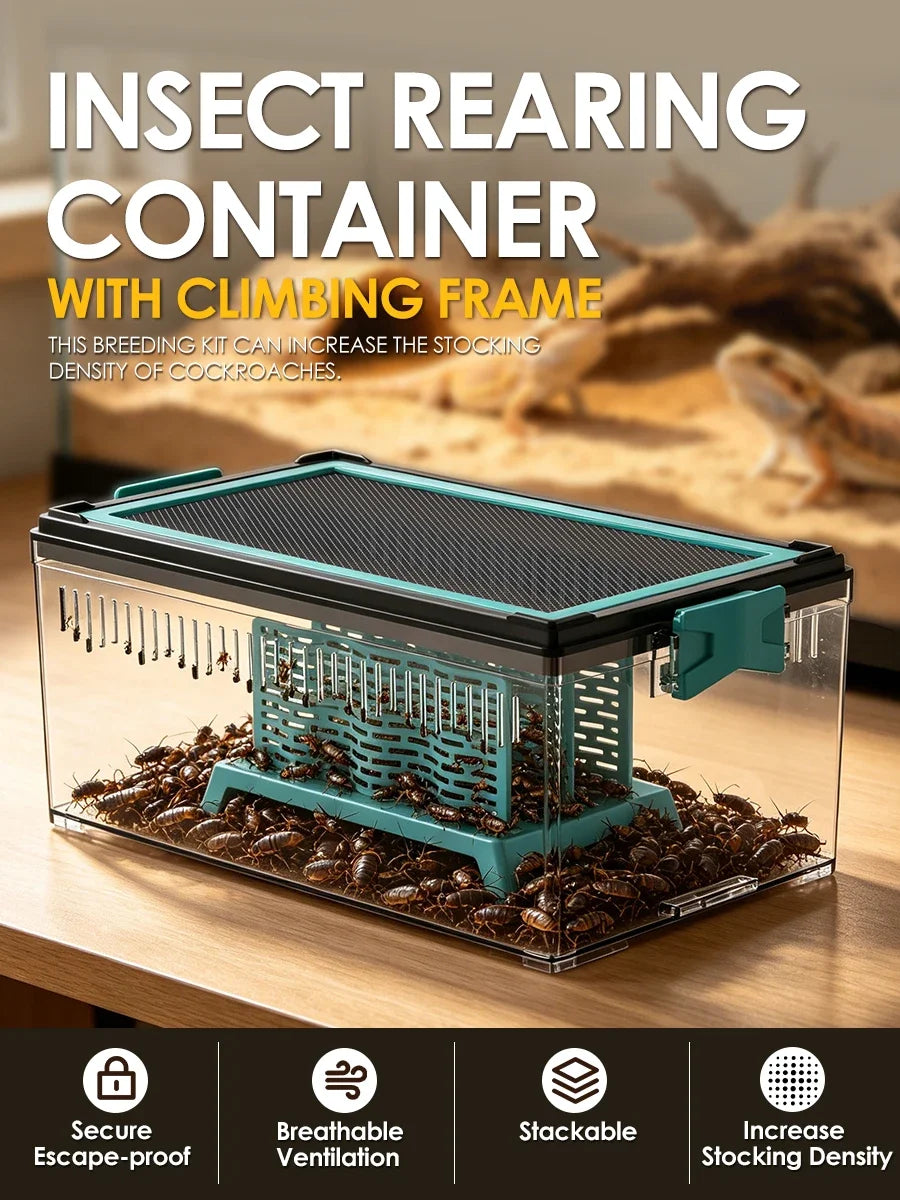 Live Feed Box Set for Bearded Dragons and Chameleons, suitable for raising Dubia roaches and as a small reptile enclosure