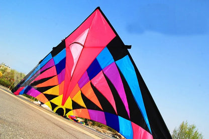 Free shipping large delta kites professional for adults kites flying toys sport kites windsurfing show kites fried flight kites