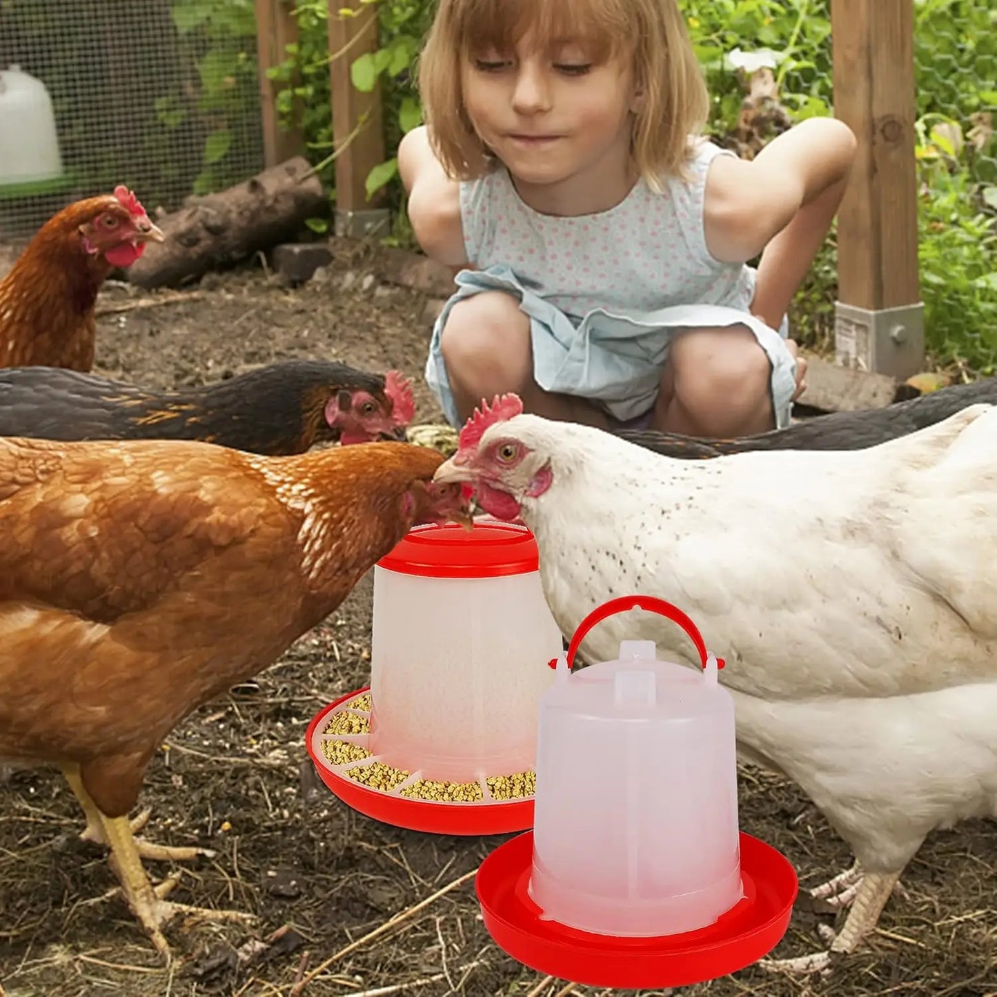 Chicken Poultry Feeder And Waterer Water Food Dispenser Automatic Chicken Chick Waterer Feeding Bucket Container Farm Supply