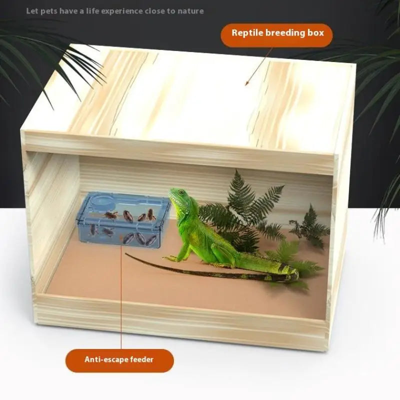 【E】Pet Reptile Lizard Turtle Transparent Feeder Anti-escape Food Bowl Worm Live Container Reptile Pet Bowls Feeder Pet Supplies