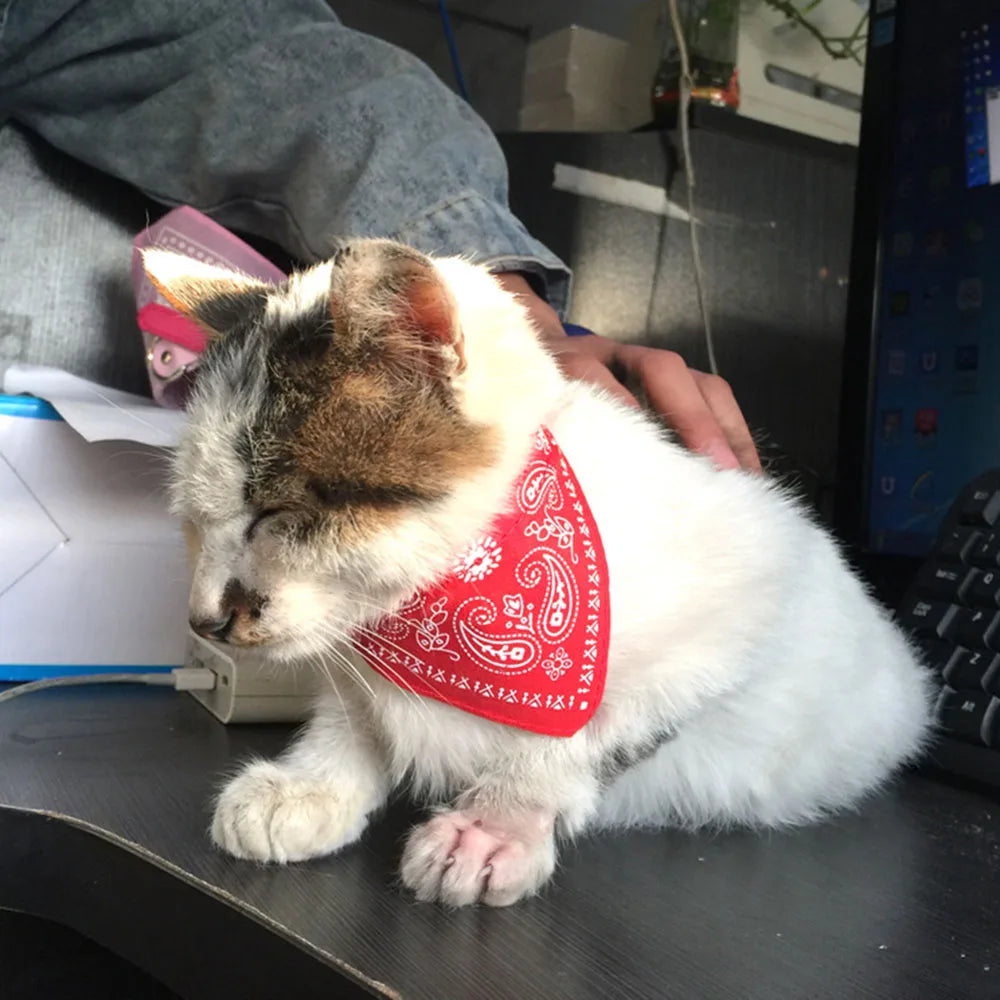 Adjustable Pet Puppy Cat Scarf Bandana Collar Neck Scarf For Small Dogs Kitten Saliva Towel PU Collar with Triangular Bandage