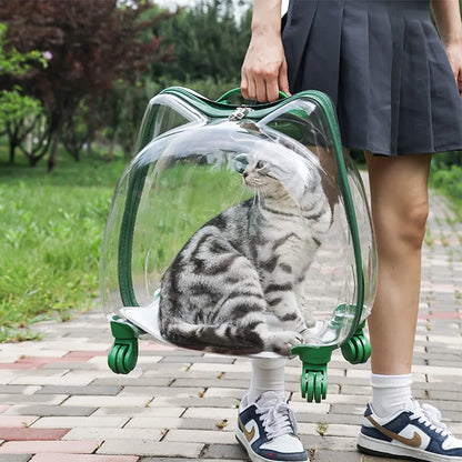 Pet Trolley Case, Fully Transparent Cat Case, Breathable Space Cabin Cat Bag, Outdoor Bag, Portable Small Dog Bag