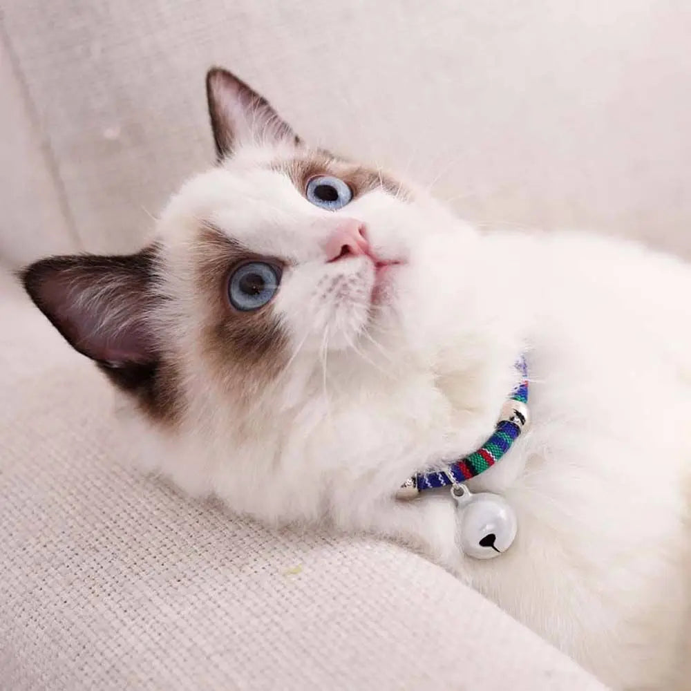 Fashion Easy Wear For Puppy Kitten Adjustable Cat Necklace Grooming Accessories Pet Collar Pet Supplies