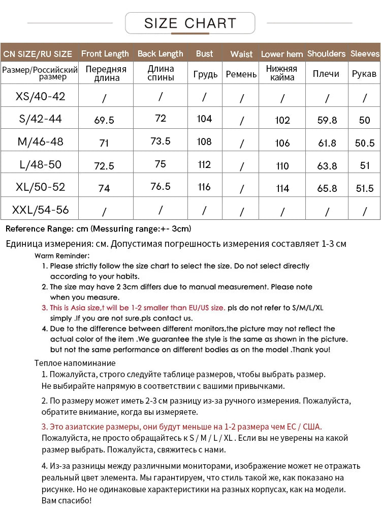 AMII Minimalist Blouse for Women 2023 Autumn Lantern Sleeve V-Neck Slightly Transparent Elegant Commuter Clothing Tops 72341030