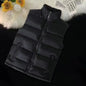 2026 Autumn Winter Men's Thicked Golden Velvet Warm Vest Fashion Solid Sleeveless Zipper Hooded Jacket Fake Fur Couple Waistcoat