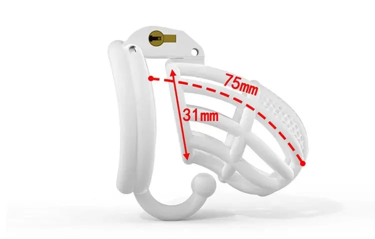 BDSM Chastity Cage 4 Size Ring Penis Cage Device Femdom Restraint Penis Lock Breathable Urethral Lock Bondage Device for Men