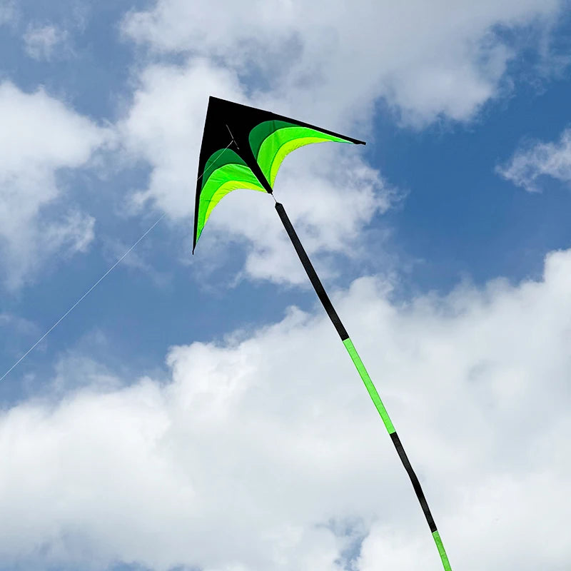 Outdoor Fun Large Delta Kites with 100m Handle Line Flying Toys for Children Kites Outdoor Sports Kites Professional Wind Kites