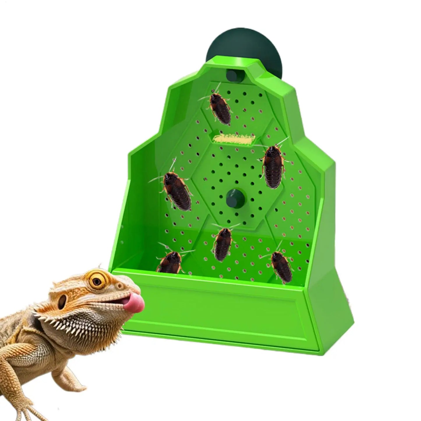 Corner Reptiles Feeder Box With Suction Cups Wall Mounted Terrariums Feeding Dish For Lizards Geckos Pet Reptile Feeder