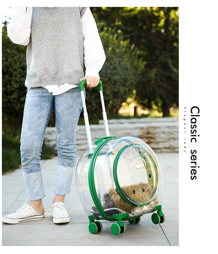 pet trolley case portable dog going out transparent trolley bag large capacity two cats