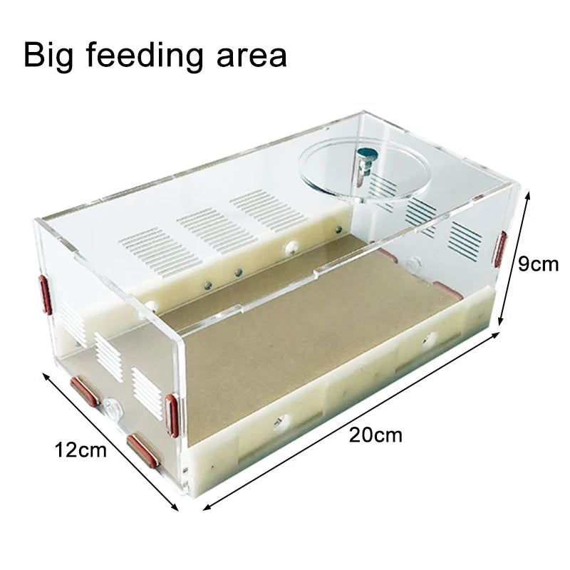 Acrylic Ant Farm Unlimited Expansion Ant Nest with Feeding Area Gypsum Ant House Pet Anthill Workshop Moisturizing Water Tower