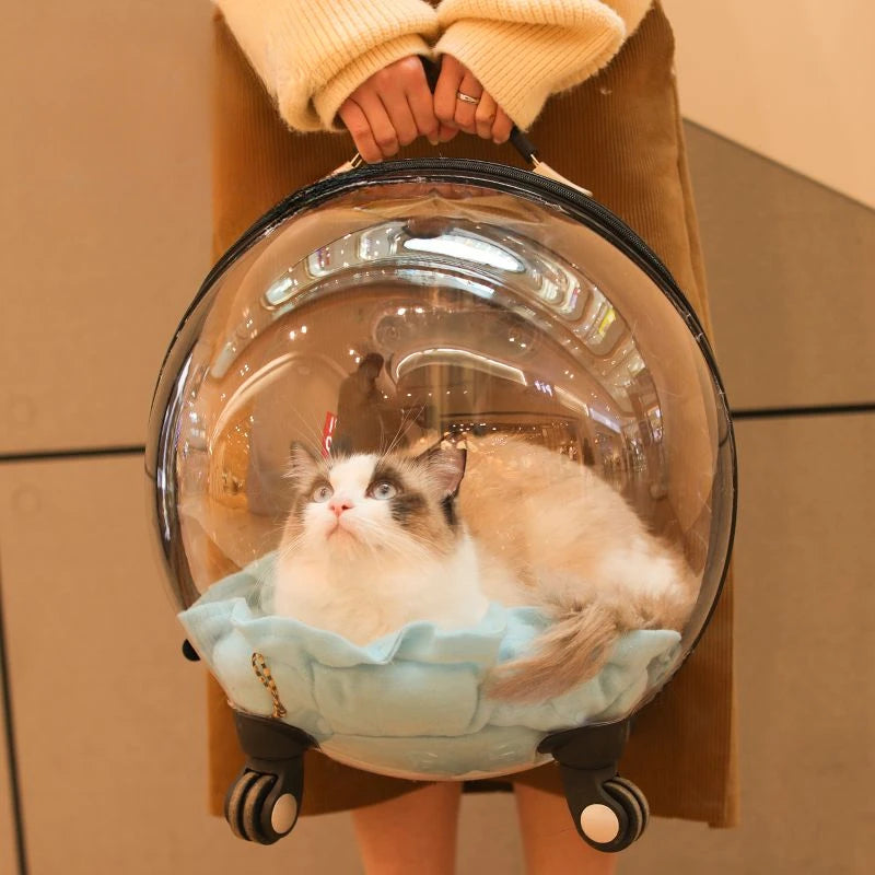 Portable Cat Bag for Going Out Large Capacity Transparent Breathable Pet Trolley Case Cat Travel Bag Pet Supplies Cat nest