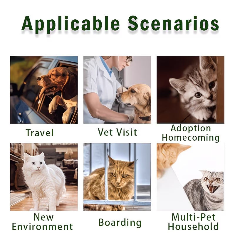 a3160a21b13dd7780ccd5883541b010d